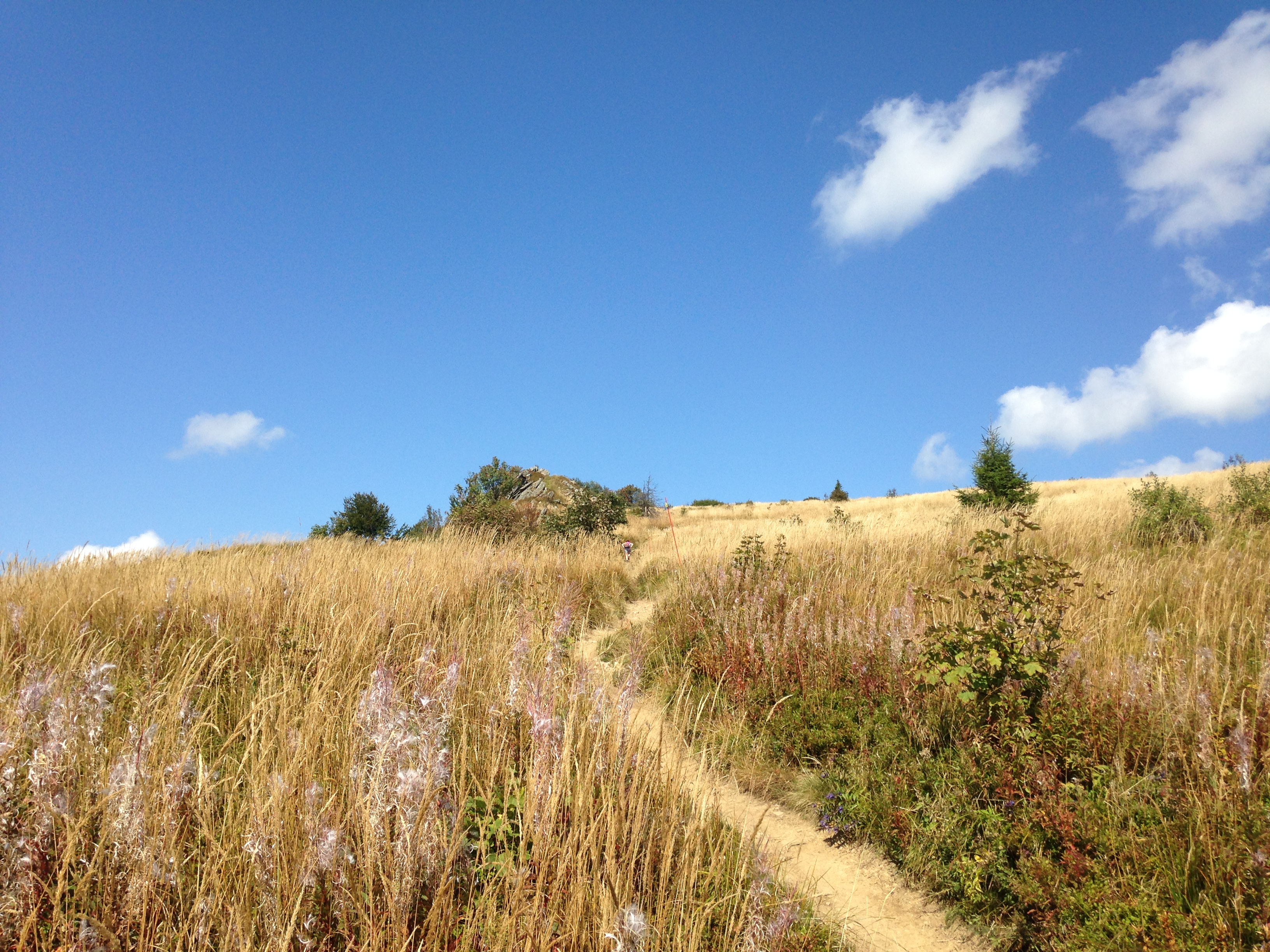 Bieszczady